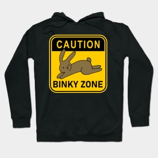 Caution Binky Zone Hoodie